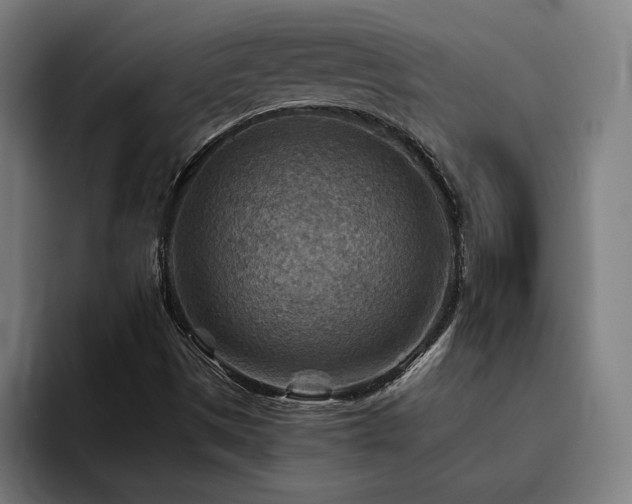 X0000093511497200710121522