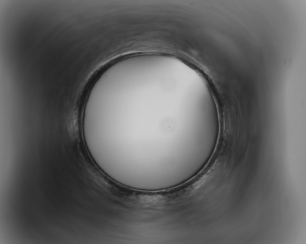 X0000093511498200710121522
