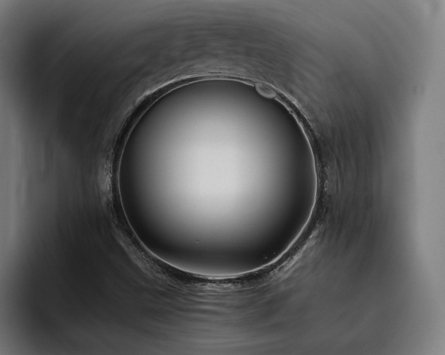 X0000093511499200710121522