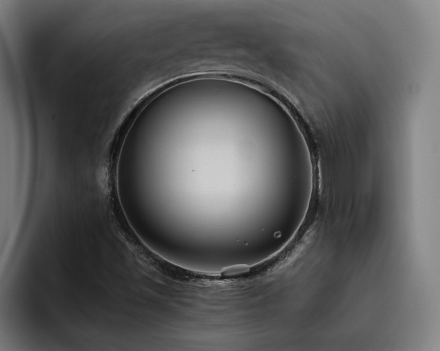 X0000093511501200710121522
