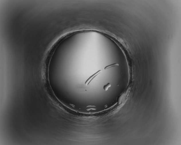 X0000093511502200710121522