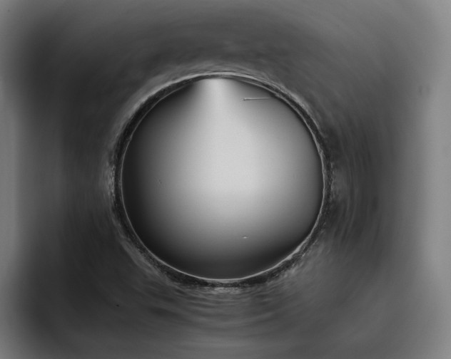 X0000093511503200710121522