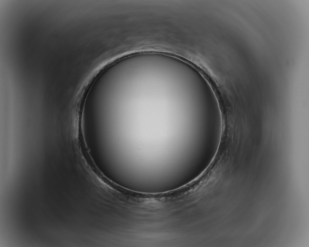 X0000093511504200710121522
