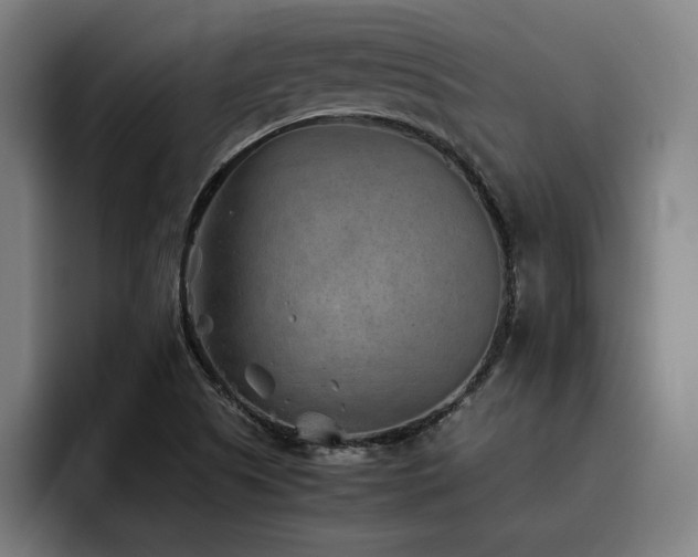 X0000093511505200710121522
