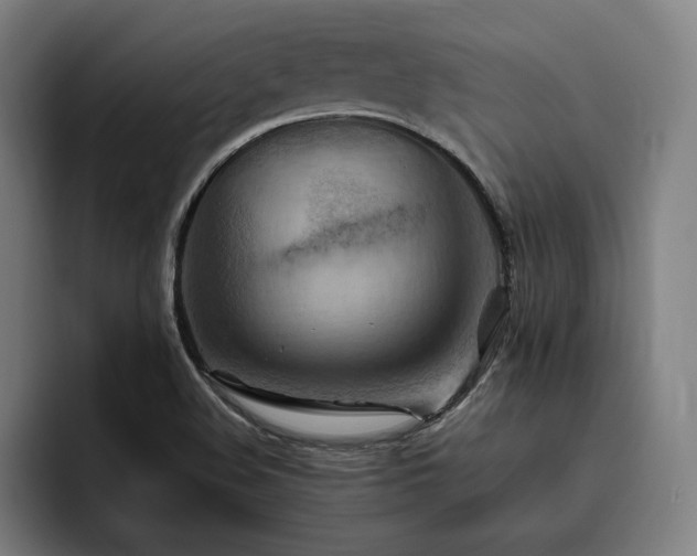 X0000093511508200710121522