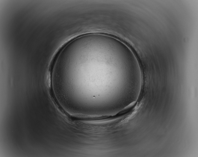 X0000093511509200710121522
