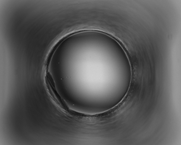 X0000093511511200710121522
