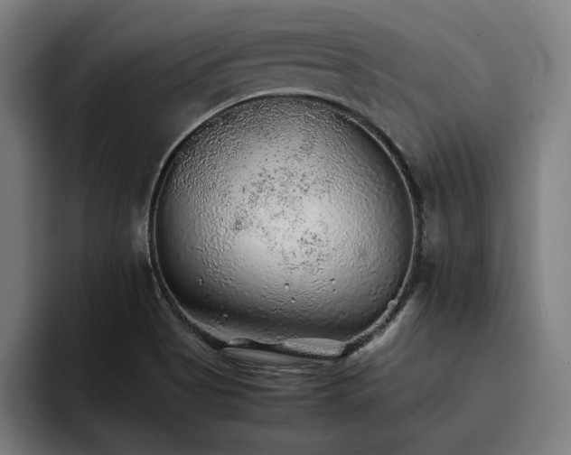 X0000093511513200710121522
