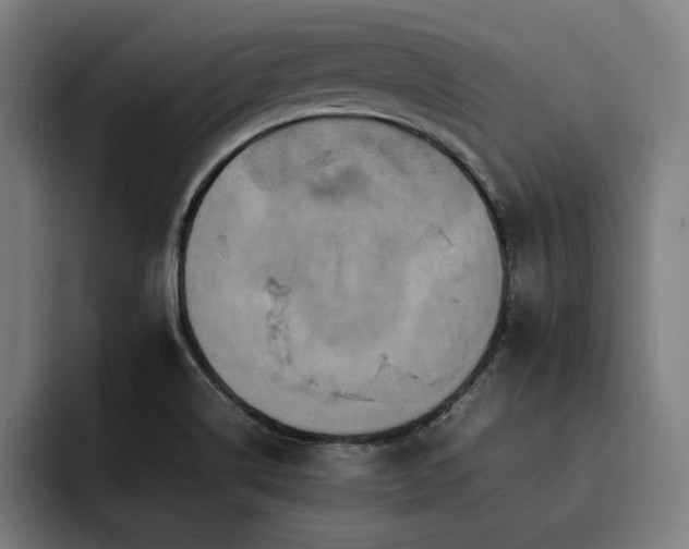 X0000093511514200710121522