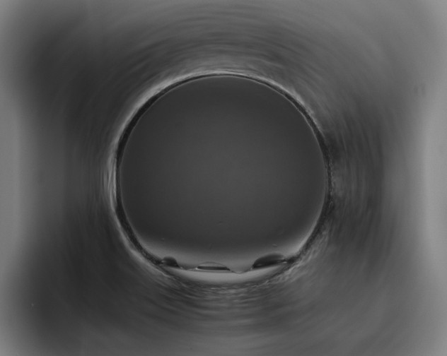 X0000093511515200710121522