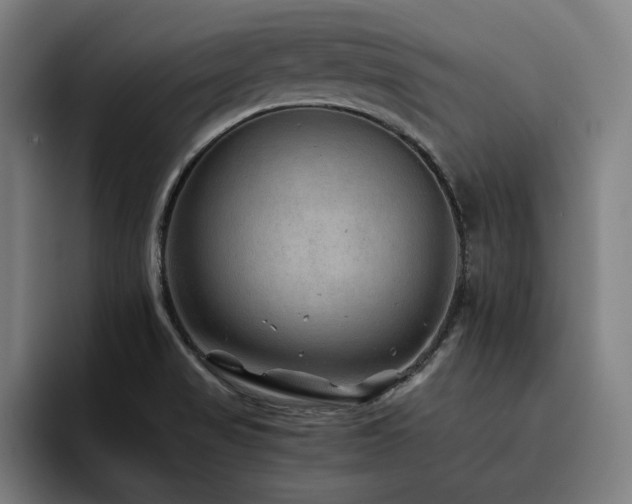 X0000093511517200710121522