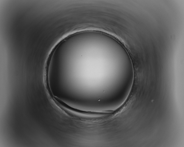 X0000093511518200710121522