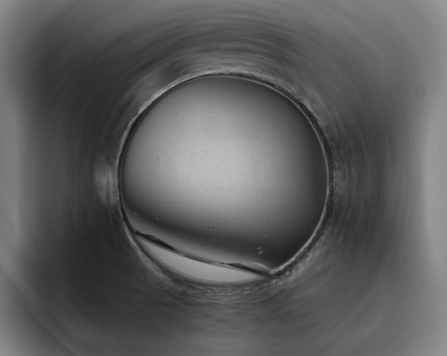 X0000093511521200710121522