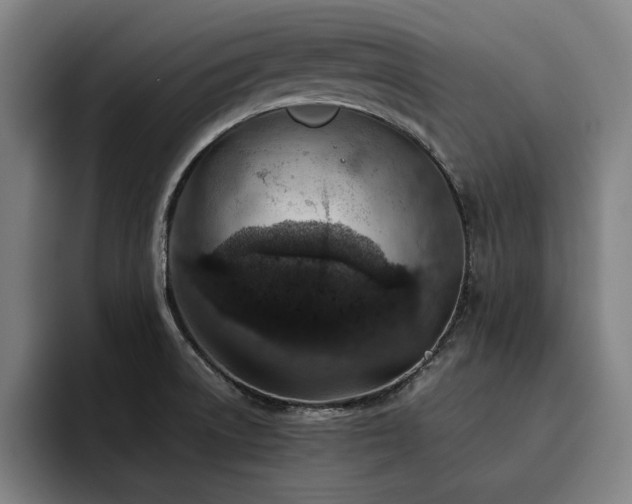 X0000093511522200710121522