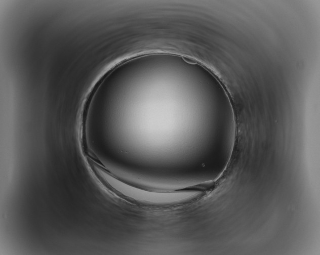 X0000093511523200710121522
