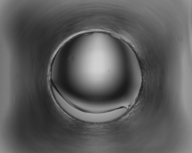X0000093511524200710121522