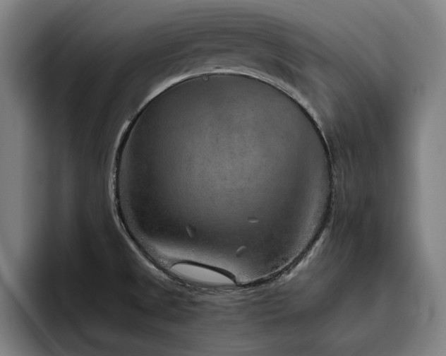 X0000093511525200710121522