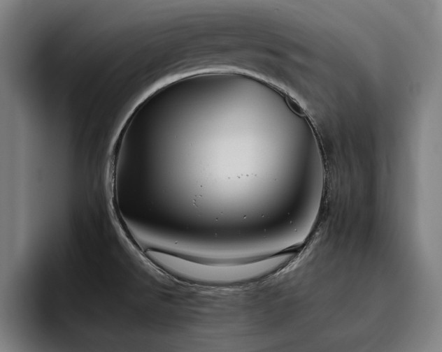 X0000093511526200710121522