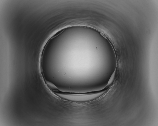X0000093511528200710121522