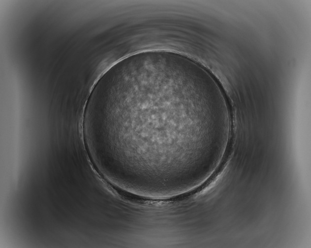 X0000093511529200710121522