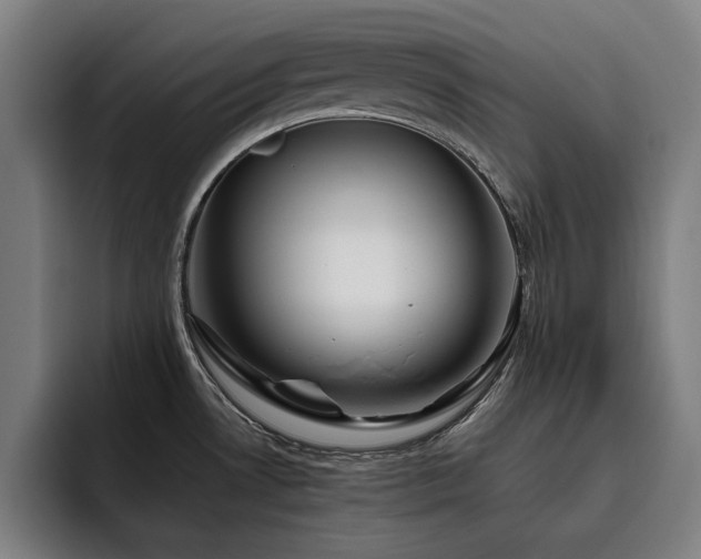 X0000093511530200710121522
