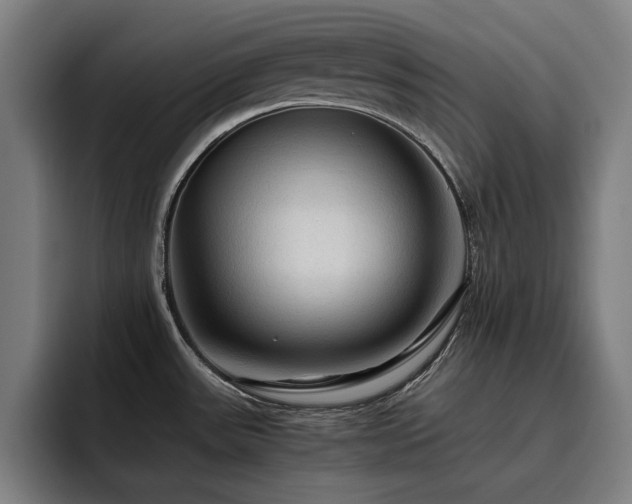 X0000093511531200710121522