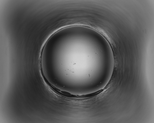 X0000093511532200710121522