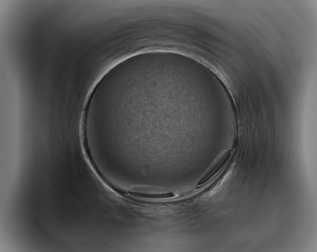 X0000093511533200710121522