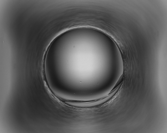 X0000093511534200710121522
