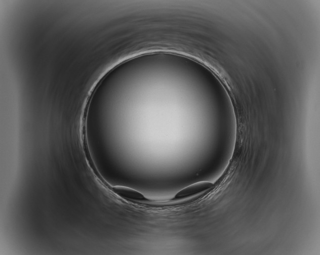 X0000093511535200710121522