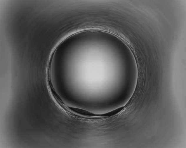 X0000093511536200710121522