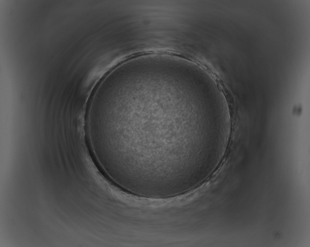 X0000093510002200710191321
