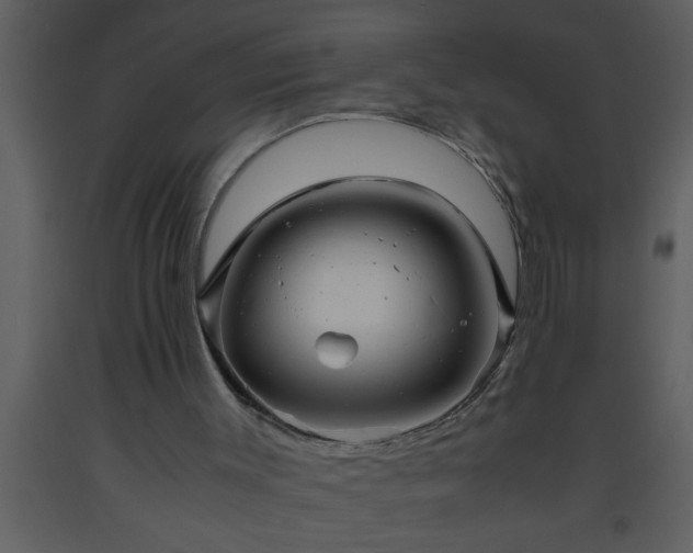 X0000093510003200710191321