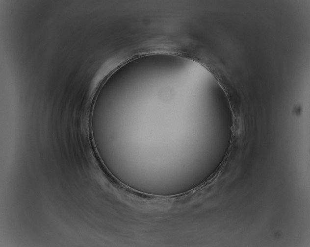 X0000093510004200710191321