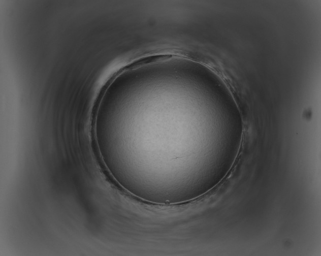 X0000093510006200710191321