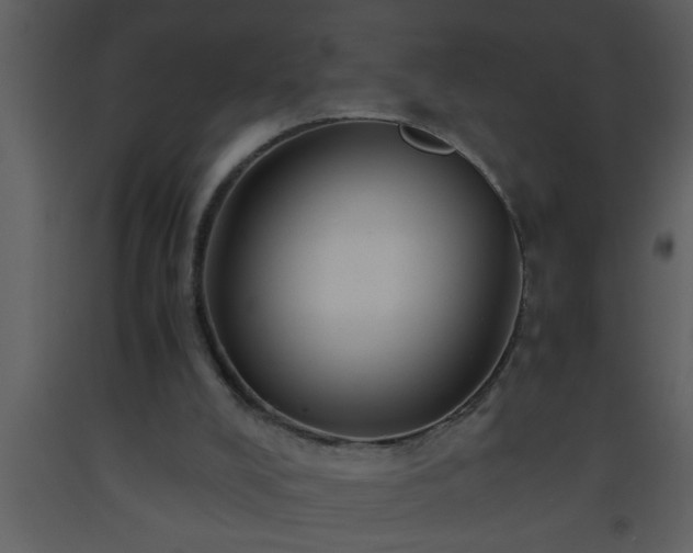 X0000093510008200710191321