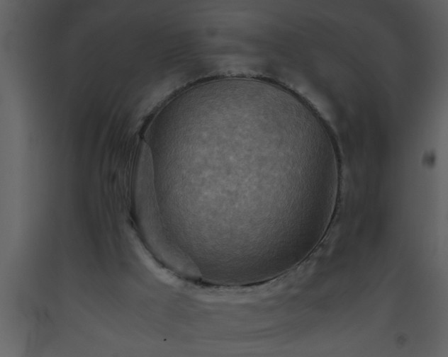 X0000093510009200710191321