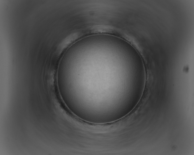X0000093510010200710191321