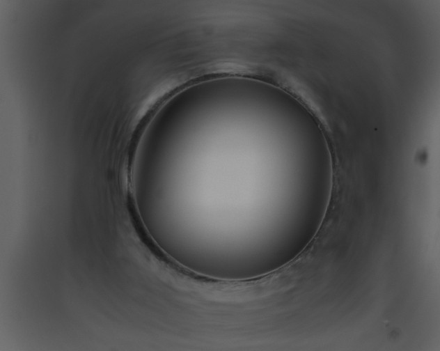 X0000093510011200710191321