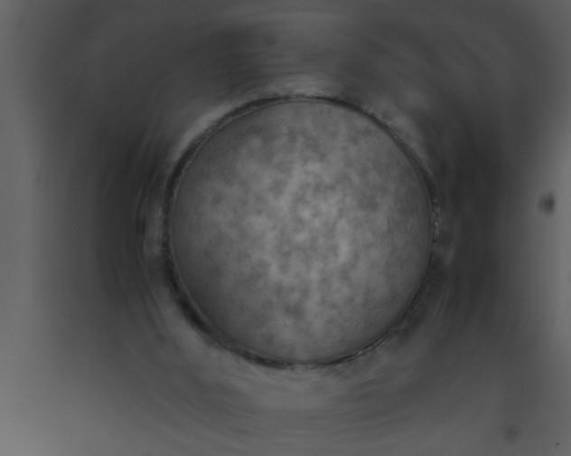 X0000093510012200710191321