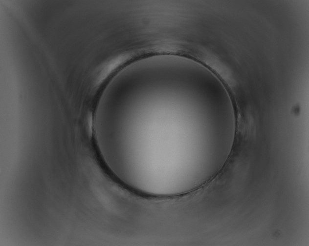 X0000093510013200710191321