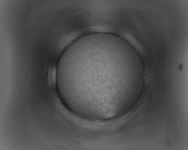X0000093510014200710191321