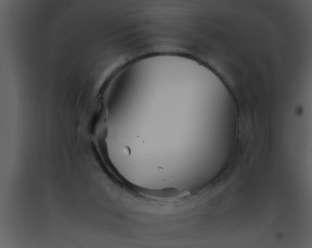 X0000093510015200710191321