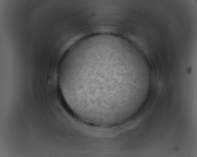 X0000093510016200710191321
