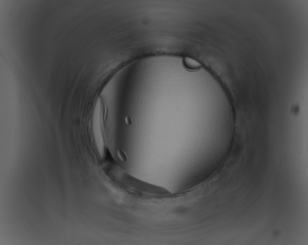 X0000093510017200710191321