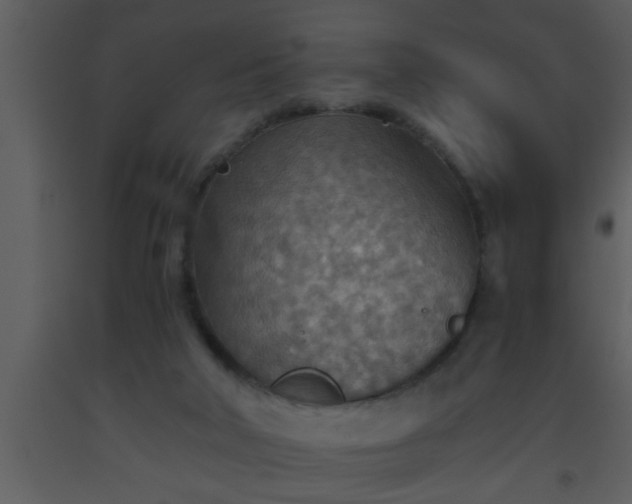X0000093510018200710191321