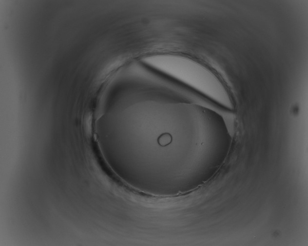 X0000093510019200710191321