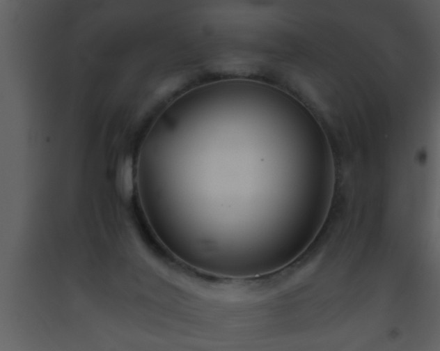 X0000093510020200710191321