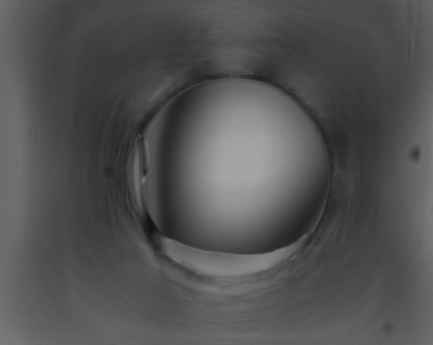X0000093510021200710191321