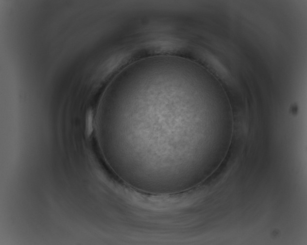 X0000093510022200710191321